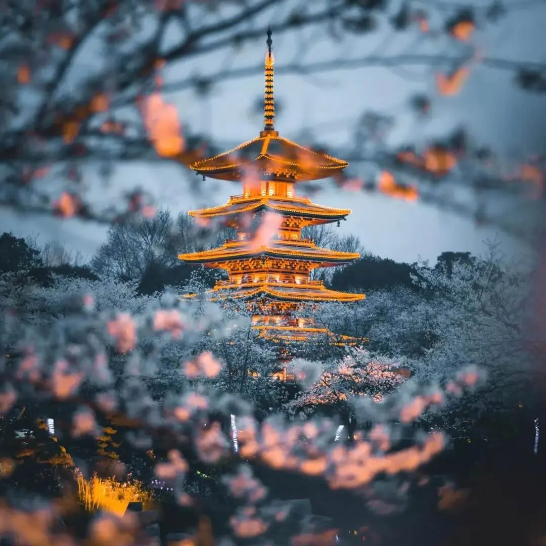 折腾